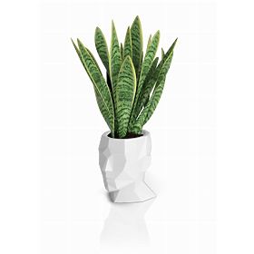 Design flower pot ADONIS White, MONUMO