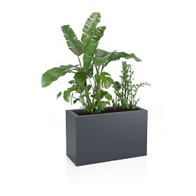 Flowerpot LUNGO MAXI - Anthracite, MONUMO